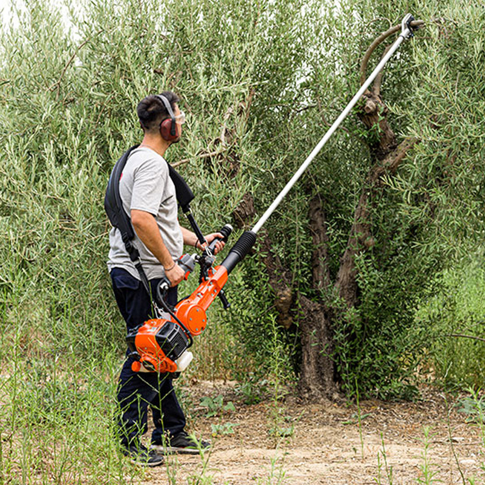 Shkundëse Ulliri OH-5210-ES - Figura 1